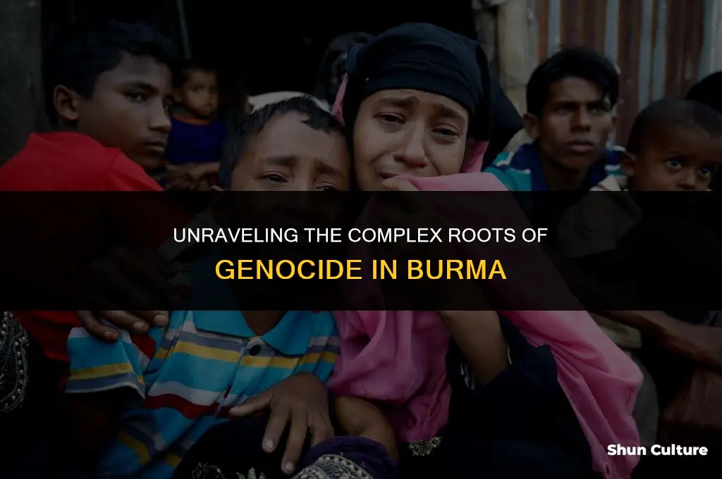what caused the genocide in burma