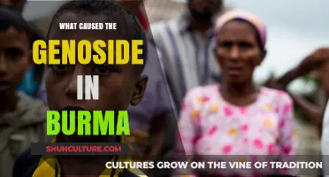 Unraveling the Complex Causes of Genocide in Burma