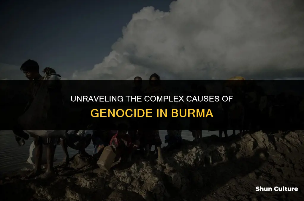 what caused the genoside in burma