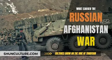 The Russian Gamble: Unraveling the Roots of the Afghan War