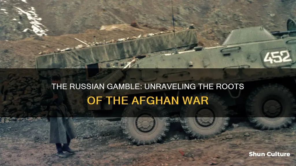 what caused the russian afghanistan war