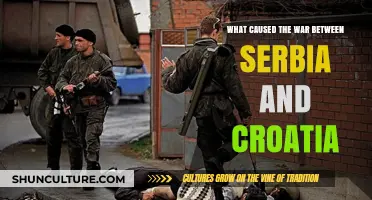 The Serbian-Croatian Conflict: Unraveling the Roots of the War