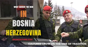 The Complex Origins of Bosnia and Herzegovina's Devastating War