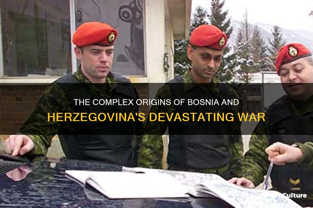what caused the war in bosnia herzegovina