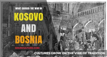 Ethnic Tensions, Nationalism, and Geopolitics: Unraveling the Balkan Wars' Origins