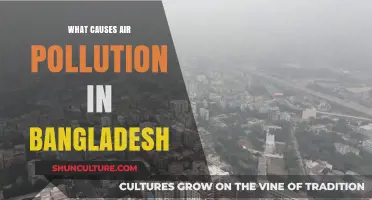 Unveiling Bangladesh's Air Pollution Crisis: Key Causes and Concerns