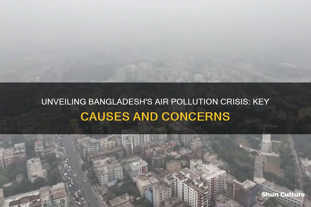what causes air pollution in bangladesh