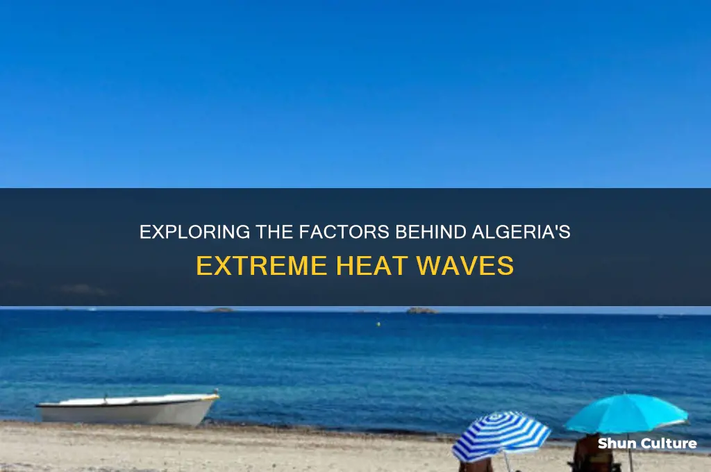 what causes algeria heat