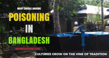 Arsenic Poisoning in Bangladesh: Uncovering the Hidden Water Crisis