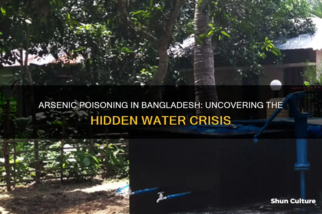 what causes arsenic poisoning in bangladesh