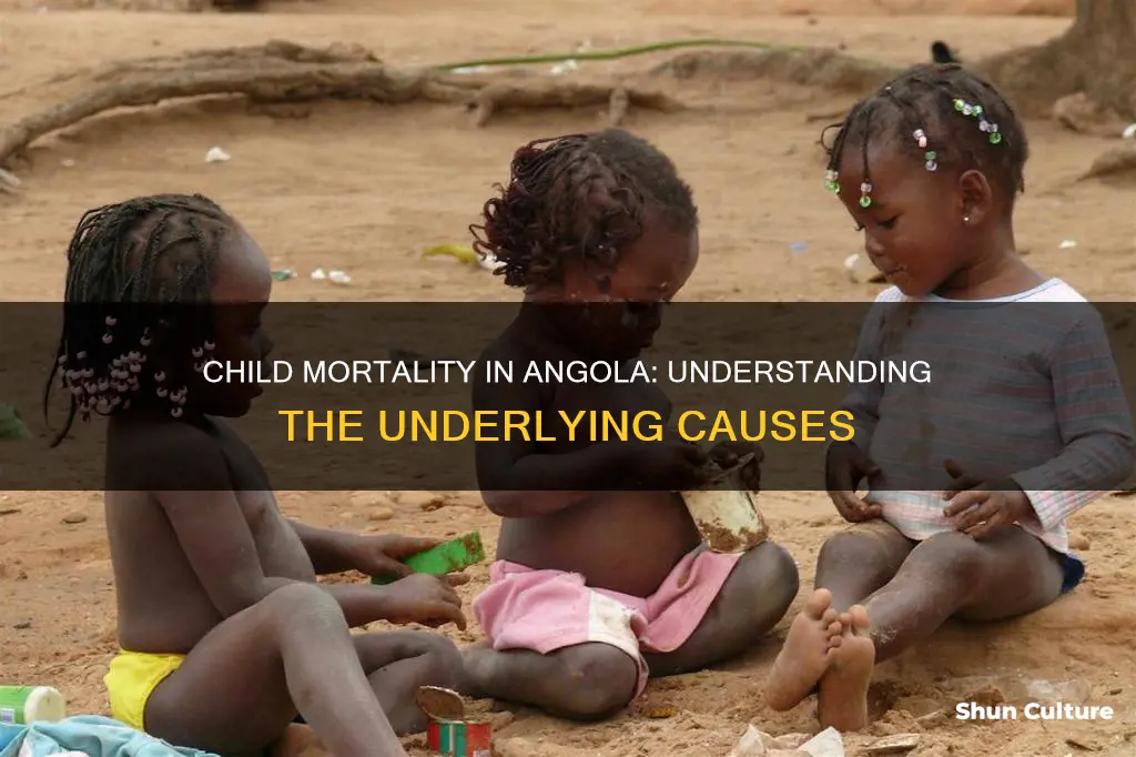 what causes child mortality in angola