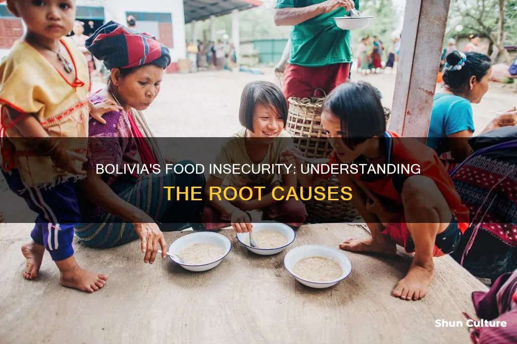 what causes food insecurity in bolivia