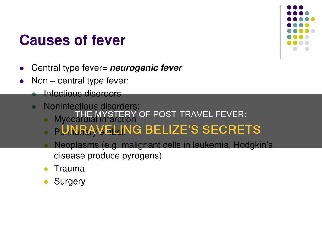 what causes high fever after belize