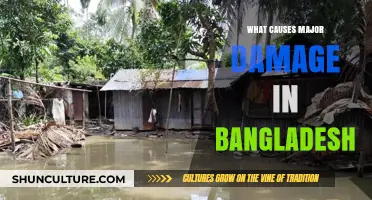 Unraveling Bangladesh's Vulnerability: Key Factors Behind Devastating Damage