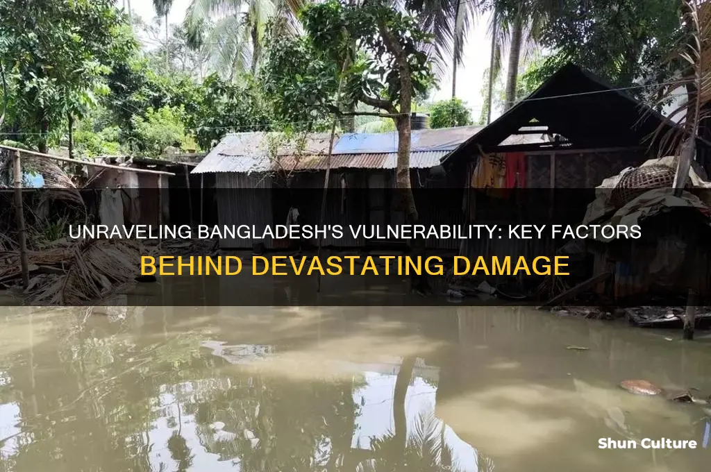 what causes major damage in bangladesh