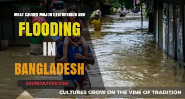 Bangladesh's Flooding and Destruction: Uncovering the Root Causes