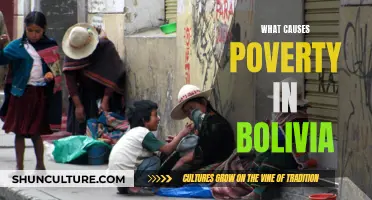 Bolivia's Poverty: Root Causes and Underlying Factors