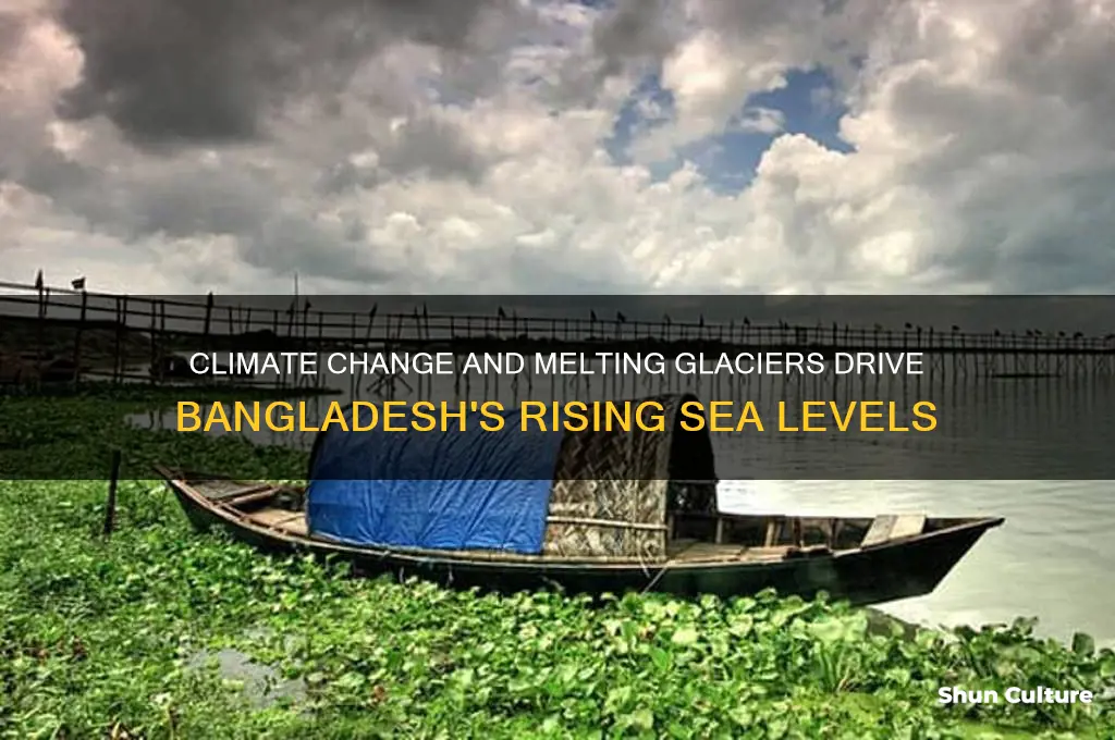 what causes sea level rise in bangladesh