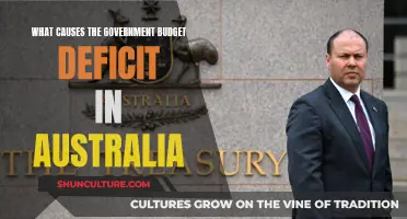 Exploring Australia's Budget Deficit: Causes and Implications