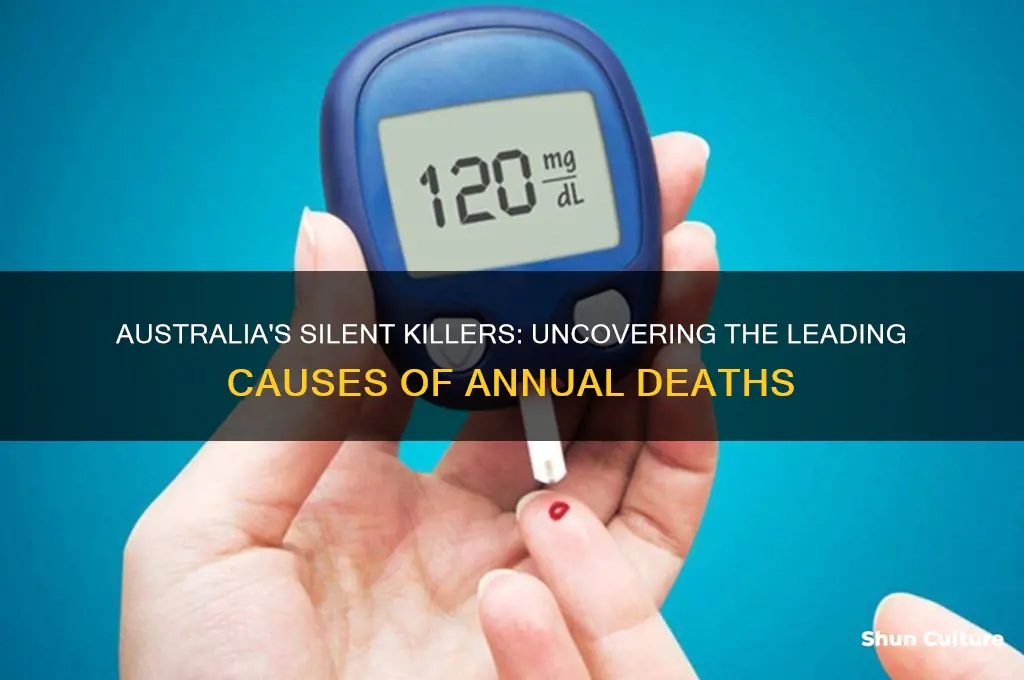 what causes the most deaths in australia each year