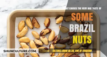 Why Some Brazil Nuts Taste Awful: Uncovering the Bitter Truth