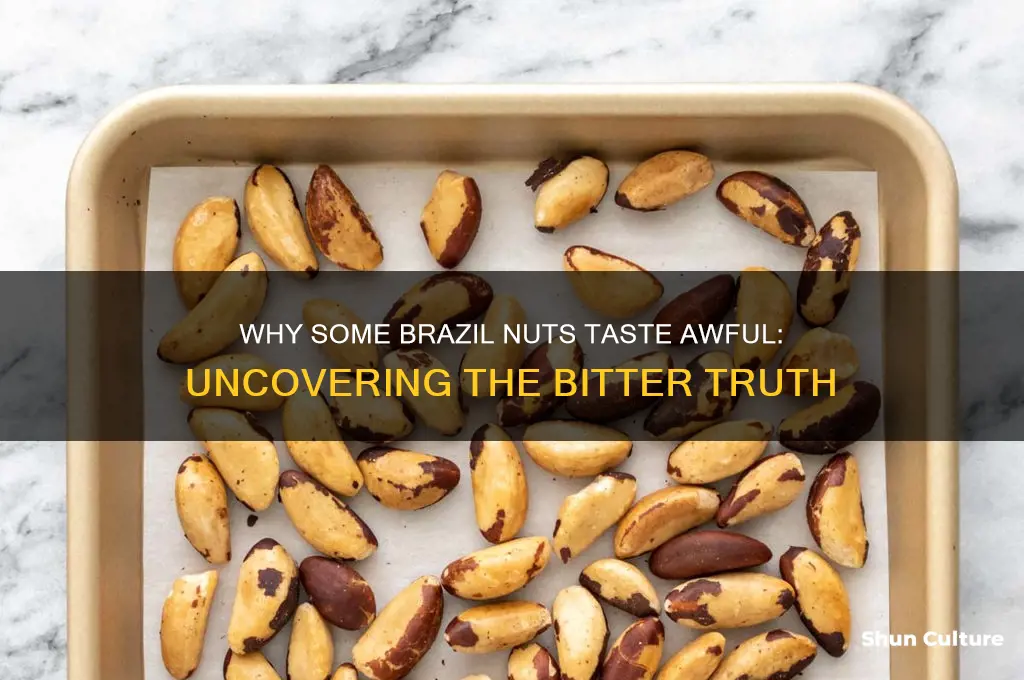 what causes the very bad taste of some brazil nuts