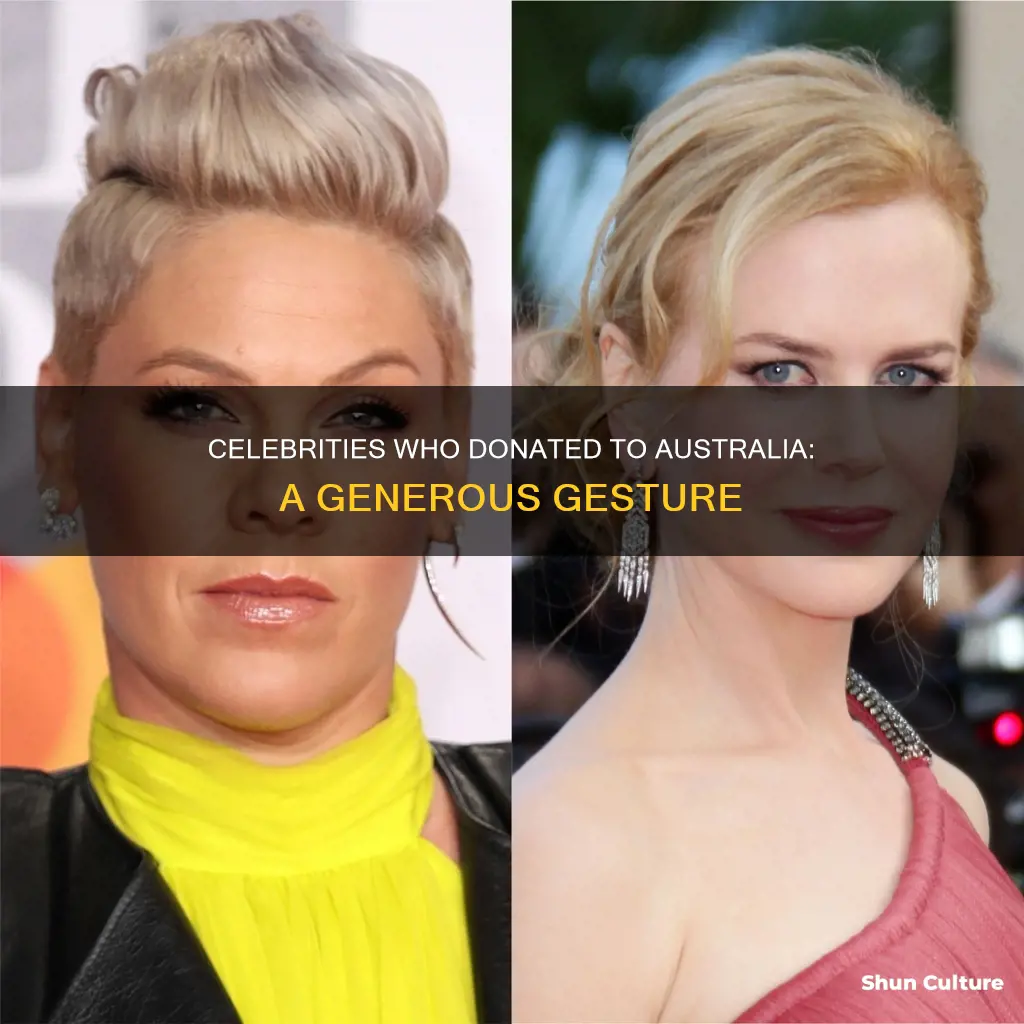 what celebrities donated money to australia