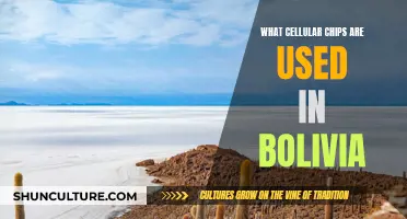 Cellular Chips in Bolivia: What's Being Used?