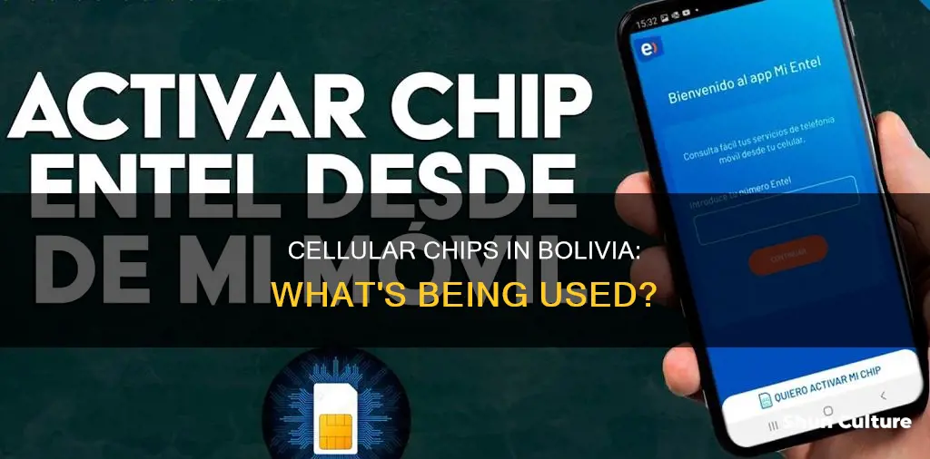 what cellular chips are used in bolivia