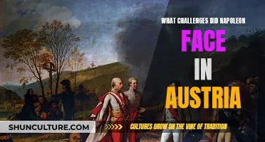 Napoleon's Austrian Campaign: Overcoming Adversity and Challenges