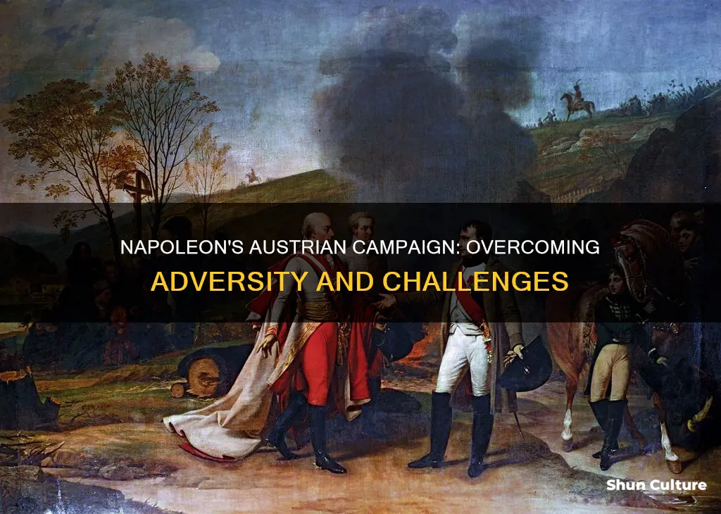 what challenges did napoleon face in austria