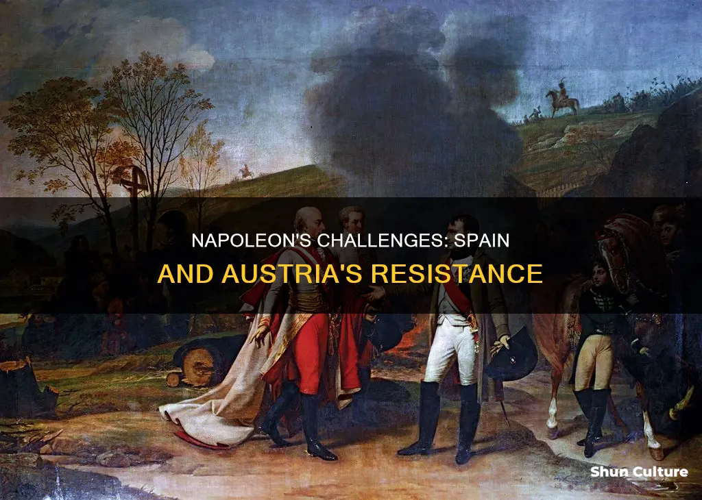 what challenges did napoleon face in spain and austria