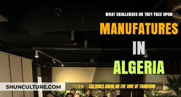 Algerian Manufacturing Hurdles: Navigating Economic, Regulatory, and Infrastructure Challenges