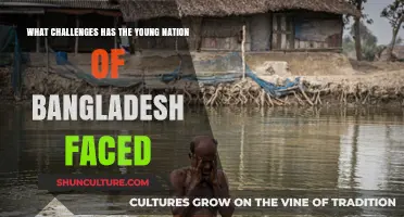 Bangladesh's Struggles: Overcoming Challenges in a Young Nation's Journey