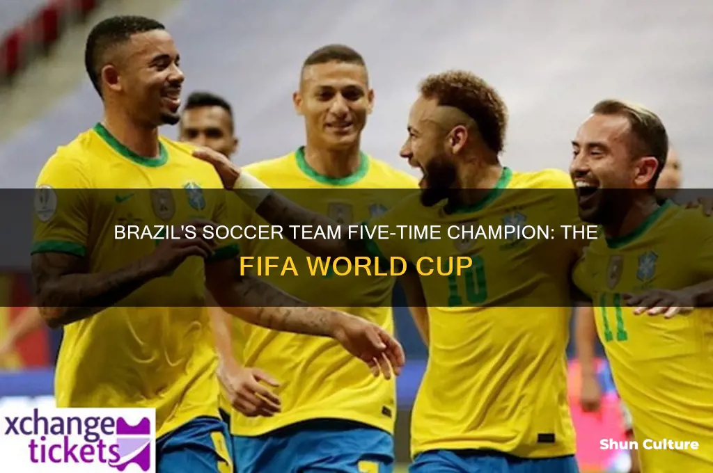 what championship has brazils soccor team won five times called