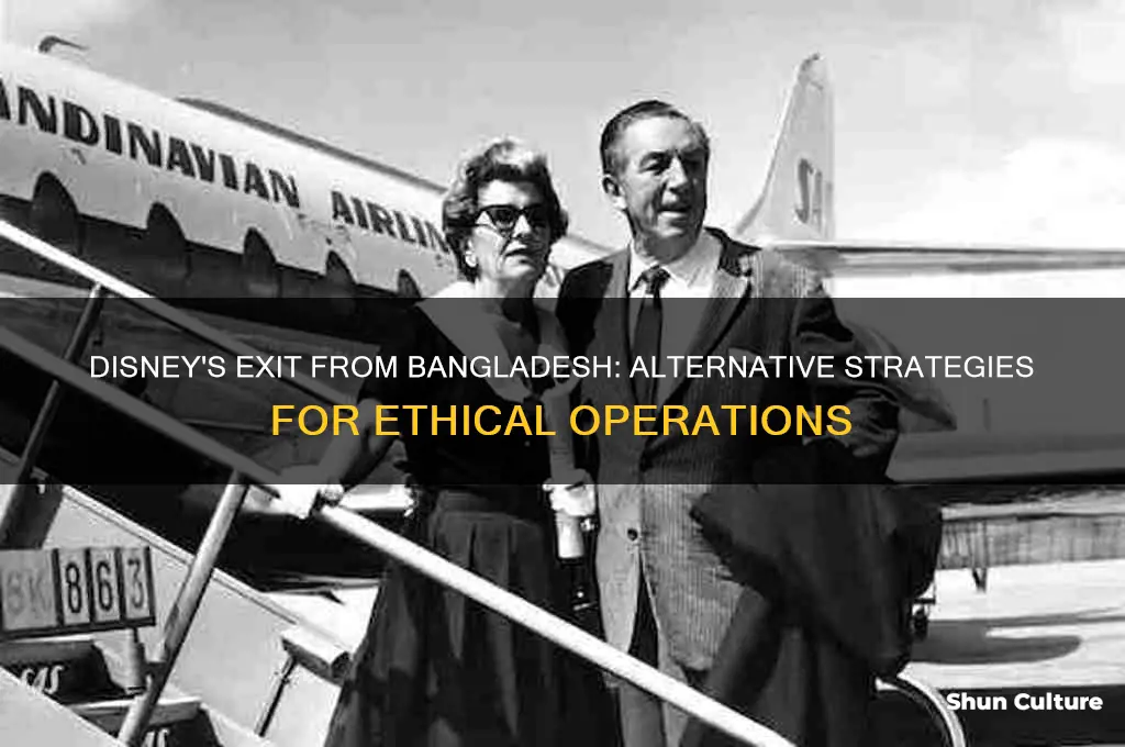 what changes disney could of made instead of leaving bangladesh