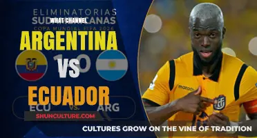 Argentina vs Ecuador: Which Channel Will Broadcast the Match?