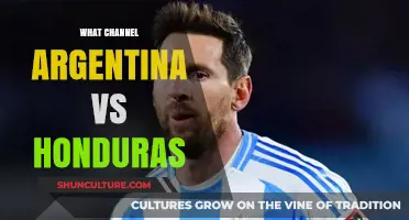 Argentina vs Honduras: Which Channel Will Broadcast the Match?