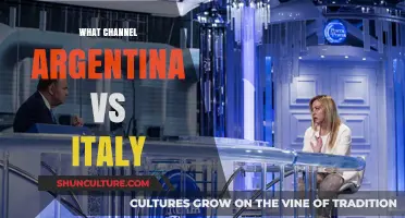 Argentina vs Italy: Which Channel Will Broadcast the Match?
