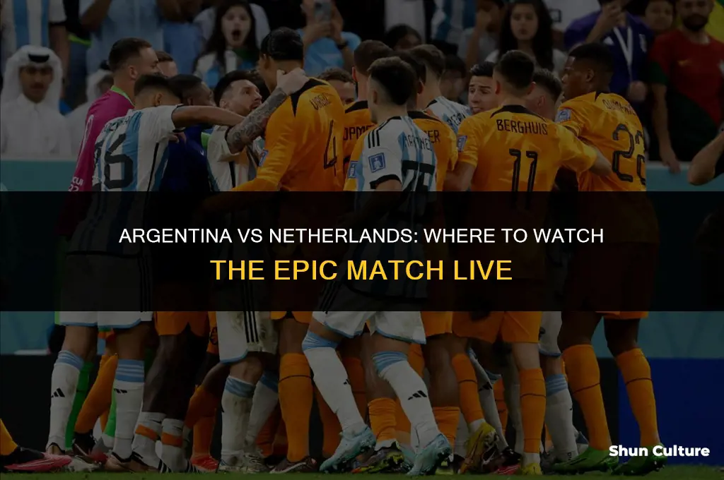 what channel argentina vs netherlands
