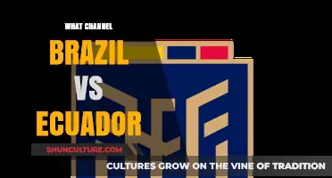 Brazil vs Ecuador: Which Channel Will Broadcast the Match Live?
