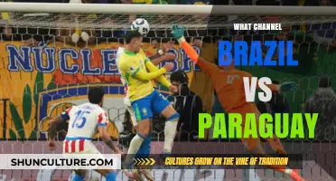Brazil vs Paraguay: Where to Watch the Match Live on TV