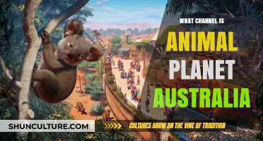 Animal Planet Australia: What Channel to Watch?