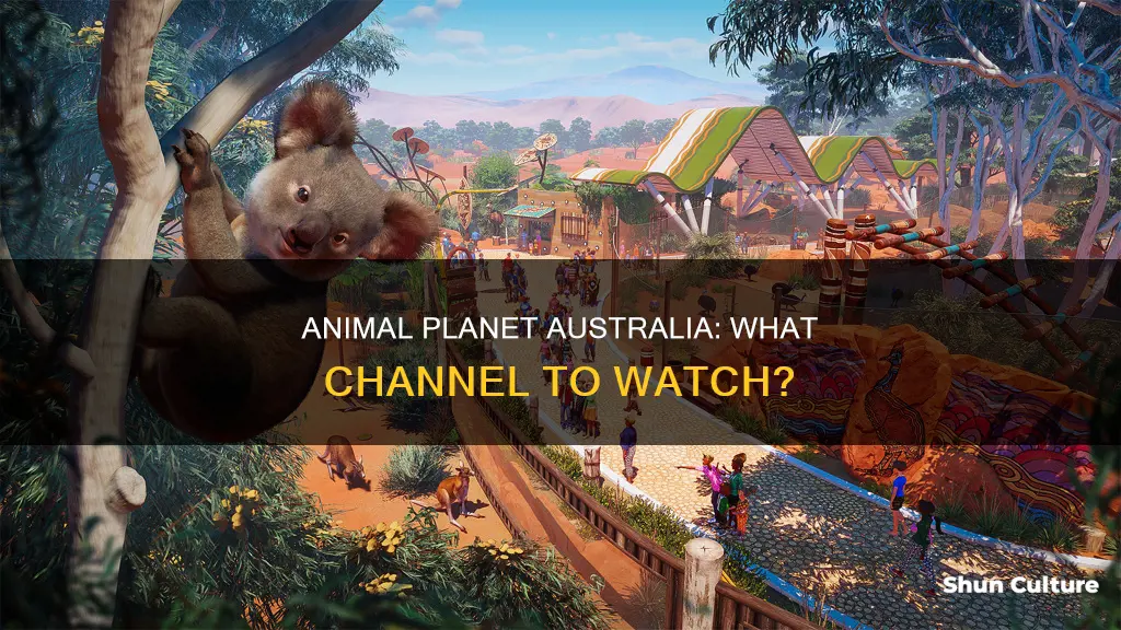 what channel is animal planet australia