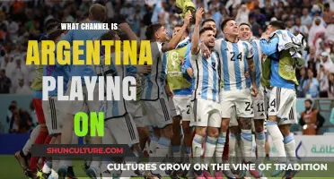 Where to Watch Argentina's Match: A Comprehensive Guide