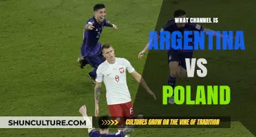 Argentina vs Poland: Where to Watch the Match Live