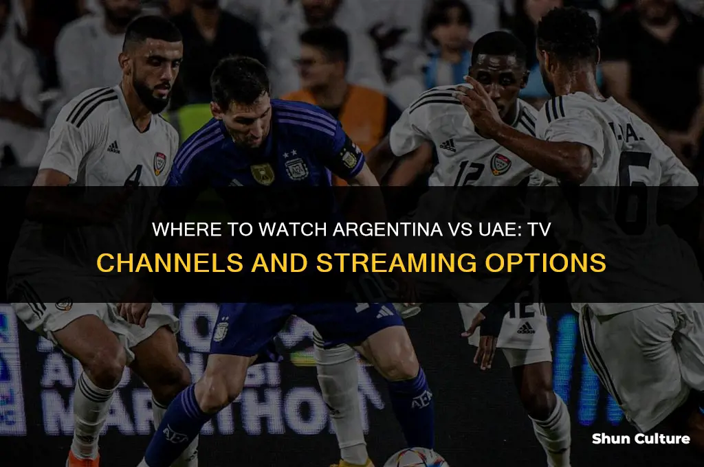 what channel is argentina vs uae on