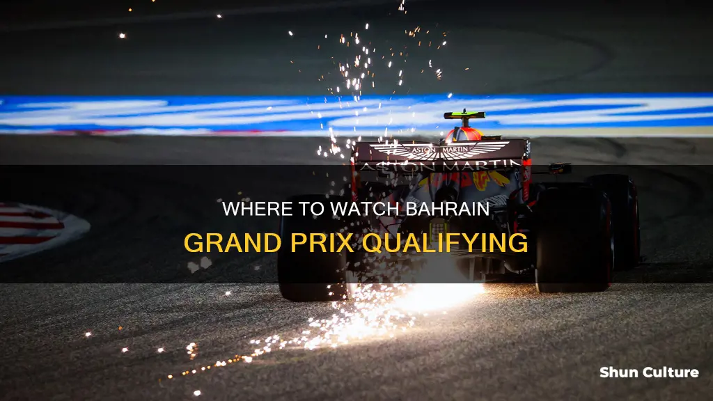 what channel is bahrain qualifying on