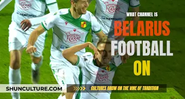 Where to Watch Belarus Football Matches Live