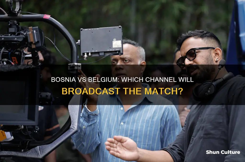 what channel is bosnia vs belgium